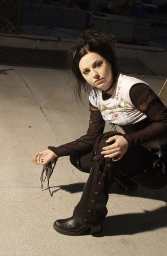 amy lee